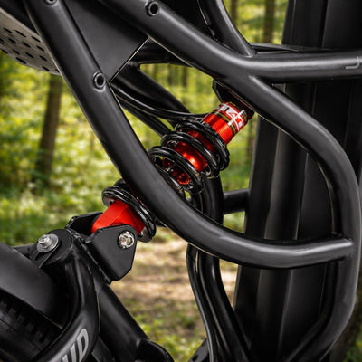 Eahora Cupid E-Bike Rental