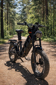 Eahora Juliet e-bike detail 5