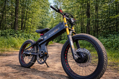 Aniioki A9 Pro Max e-bike 2
