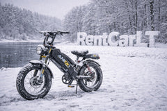 Aniioki AQ177 Pro Max e-bike 2