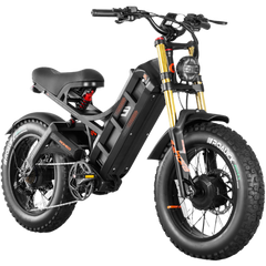 Eahora Romeo electric bike black 1