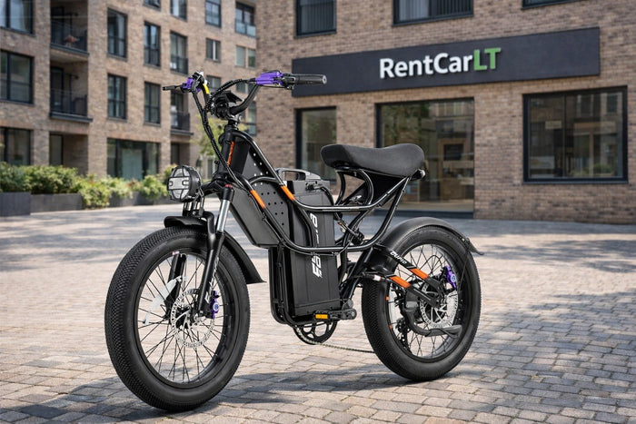Eahora Cupid e-bike detail