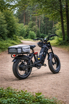 Eahora Juliet e-bike detail 6