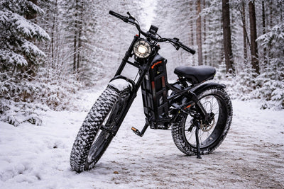 Eahora Romeo Pro E-Bike Rental