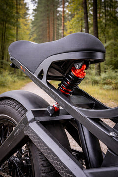 Eahora Romeo e-bike detail 5